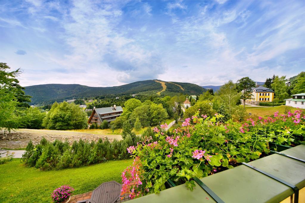 Pension Silva Spindleruv Mlyn Room photo